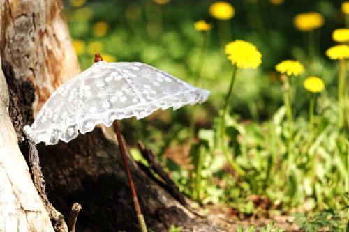 parasol sun summer