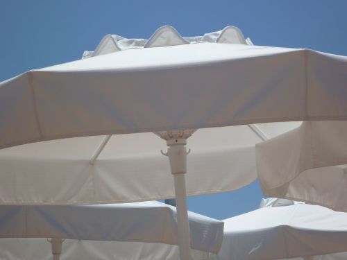 parasols white shade tree