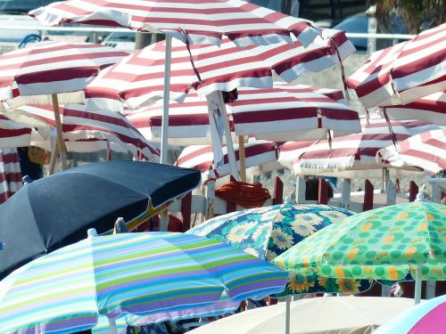 parasols shade tree hot