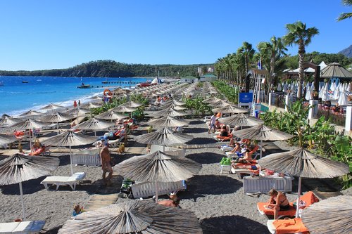 parasols  nature  summer