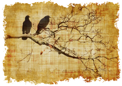 parchment birds branch