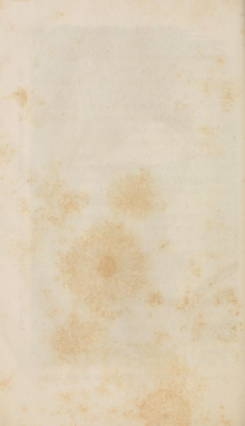 Parchment Page