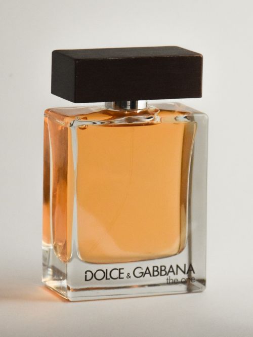 parfume dolce and gabana the one