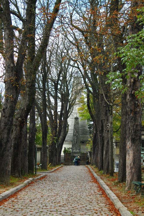 paris cemetery trees