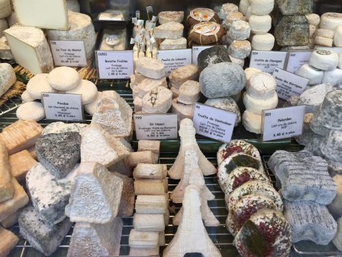 paris cheese display