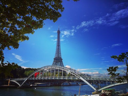 paris france trees