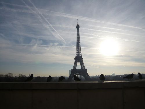 paris eiffel tower walk