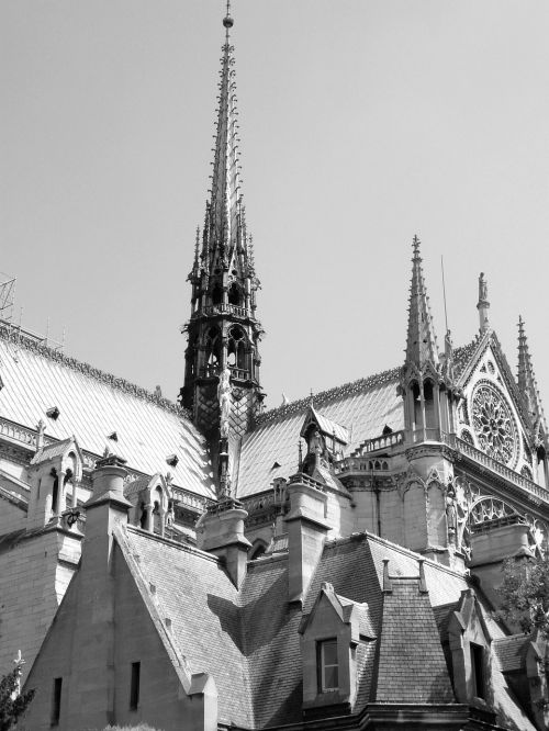 paris fountain notre dame