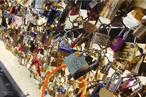 paris  bridge  lock