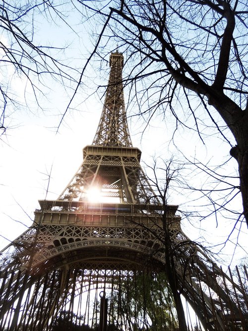 paris  eiffel tower  france