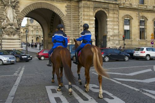 paris france horse