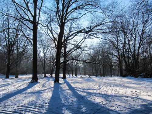 park winter tiergarten