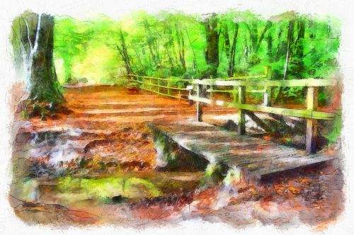 park bridge woodland