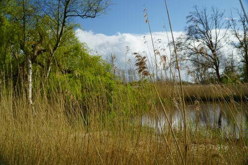 park water pond