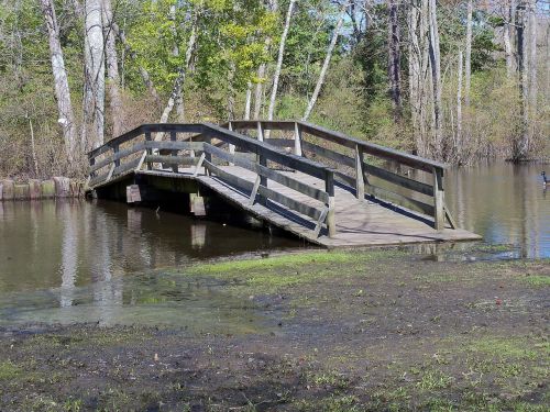 park bridge nature