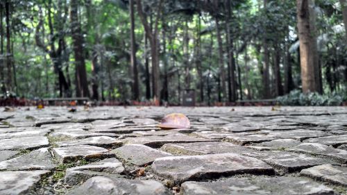 park sidewalk stones