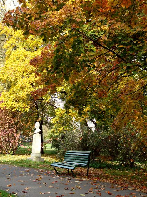 park autumn foliage