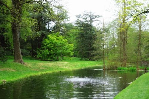 park pond water