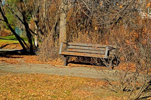 park bench rustic