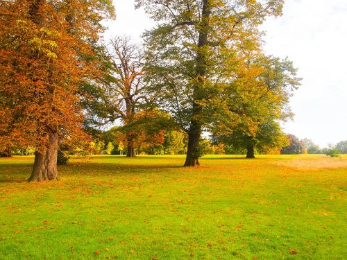 park autumn ocher