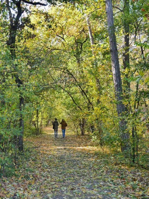 park fall walk