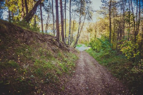 park forest track