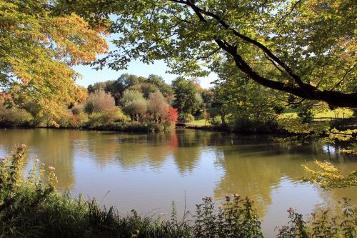 park lake pond