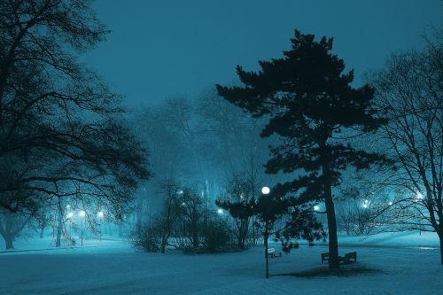 park night winter