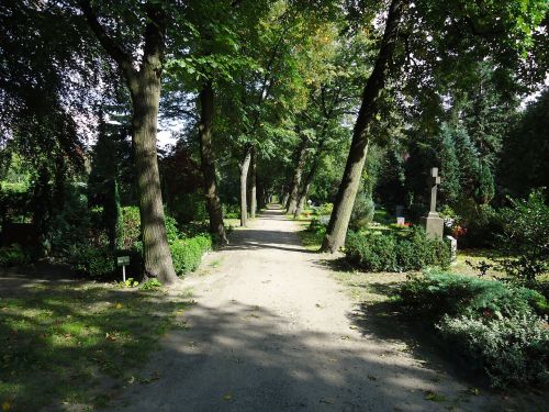 park cemetery tree