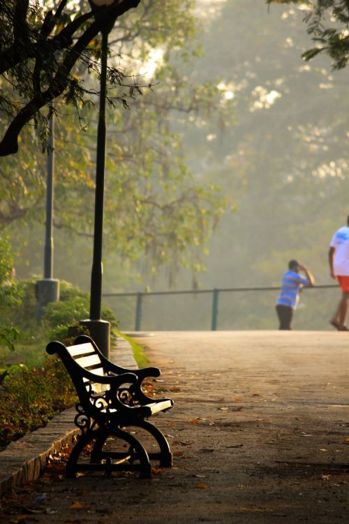 park garden nature