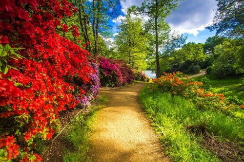 park virginia water flowers