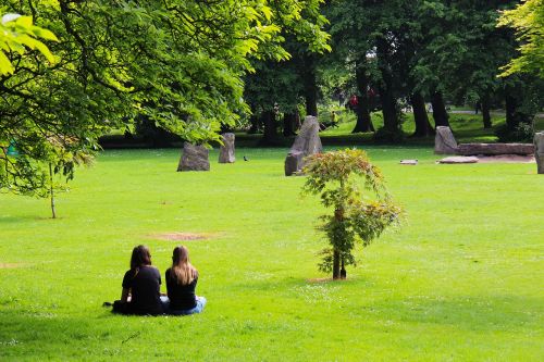 park grass nature