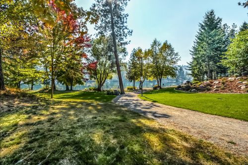 park serene river