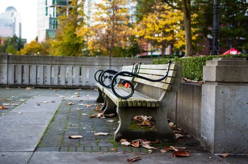 park plaza bench