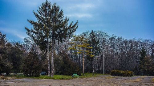 park odessa trees