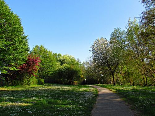 park alley spring