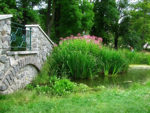 park garden pond