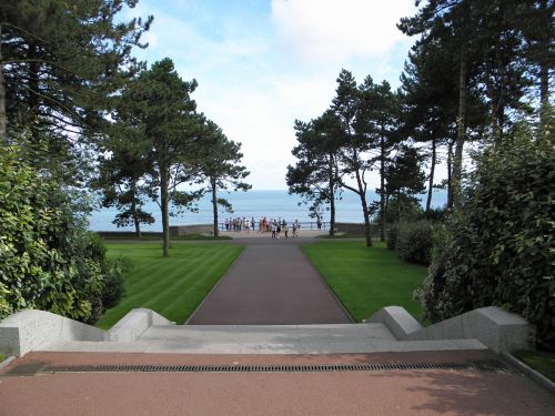 park landscape trees