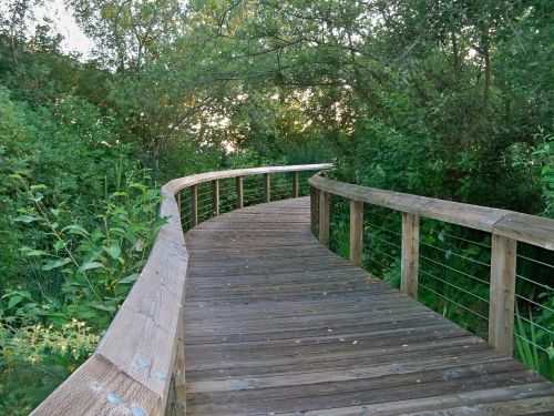 park boardwalk nature