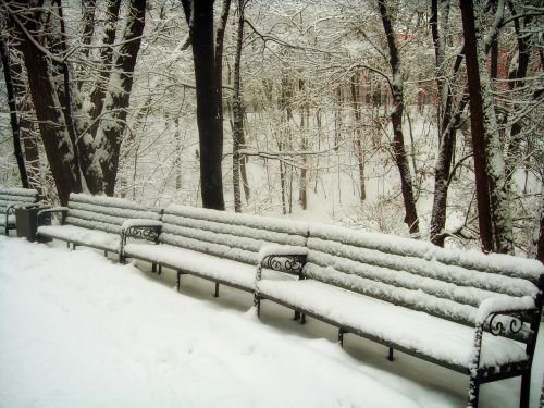 park benches bench