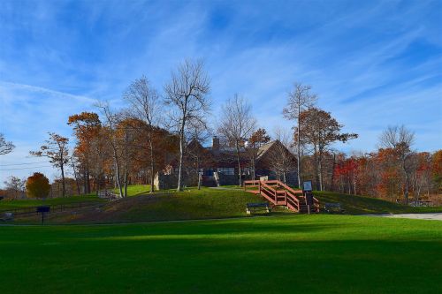 park landscape grass