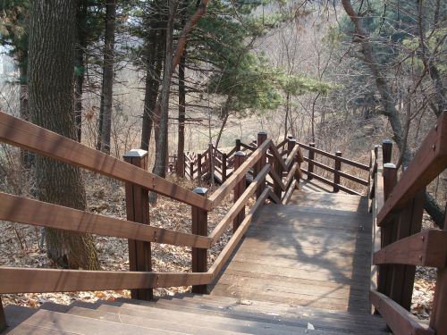 park stairs wood