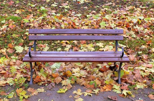 park autumn bench bench