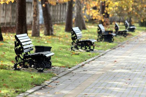 park benches autumn