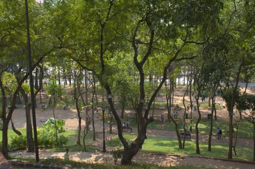 park landscape green