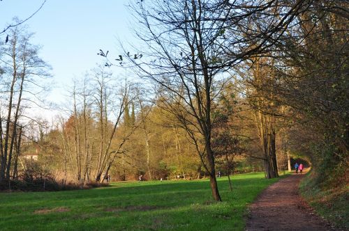 park nature outdoors