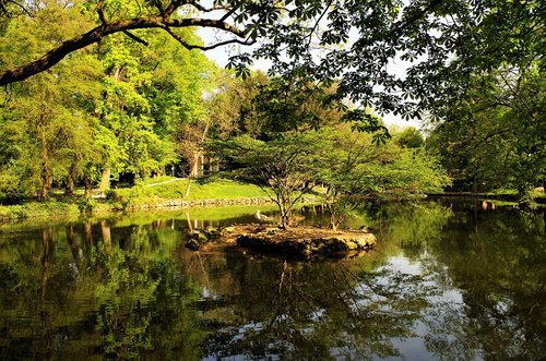 park  green  pond
