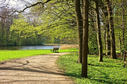 park  path  bench