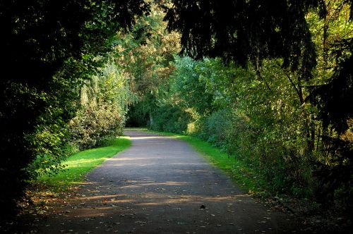 park forest away