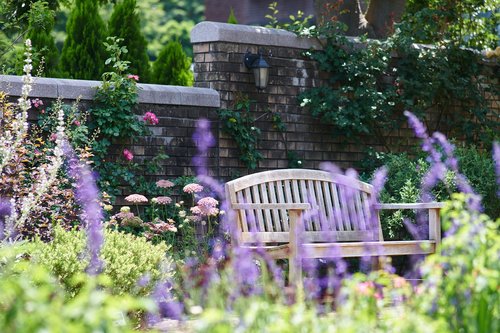 park  flowers  bench